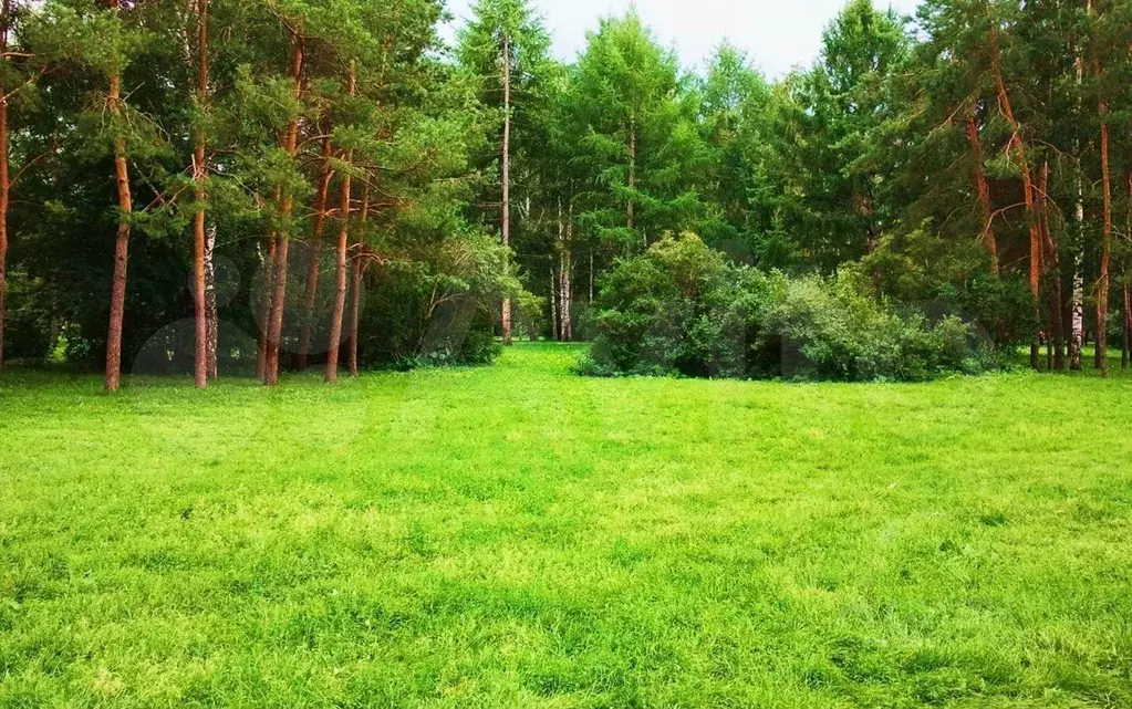 Участок 10 сот. (ИЖС) - Фото 0