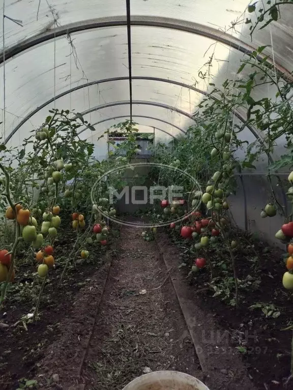 Дом в Калининградская область, Калининград Колосок СНТ, ул. Каменная, ... - Фото 2