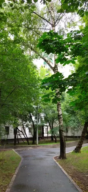 1-комнатная квартира: Москва, Союзный проспект, 15с3 (35 м) - Фото 1