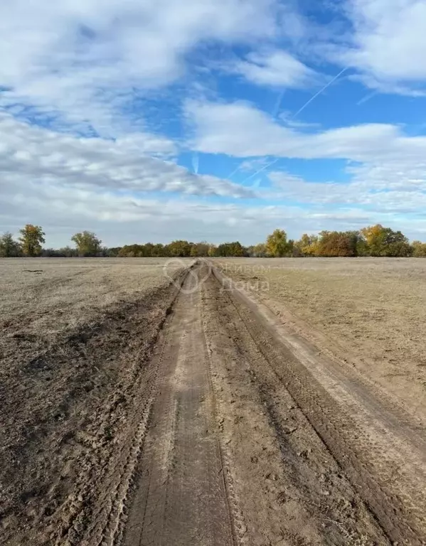 Участок в Волгоградская область, Светлоярский район, Дубовоовражное ... - Фото 0