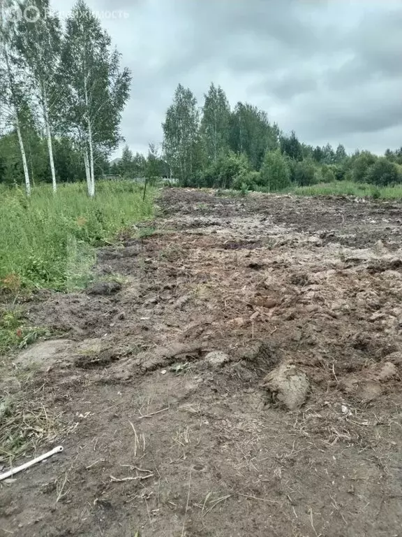 Участок в Нижнетавдинский район, СТ Здоровье-3, 2-я улица (10 м) - Фото 0
