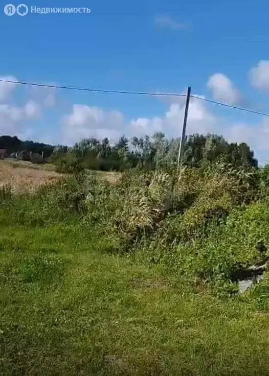 Участок в Калининградская область, Полесский муниципальный округ, ... - Фото 1