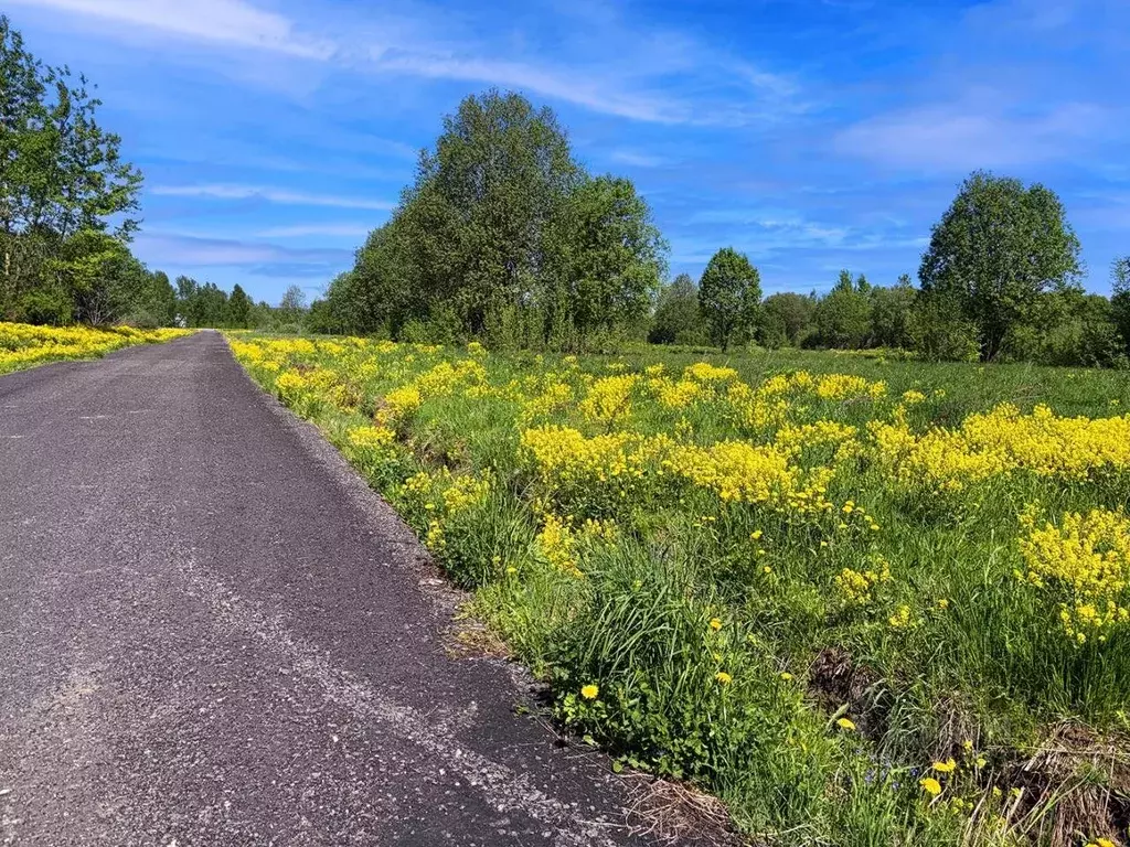 Участок в Московская область, Клин городской округ, Коськово кп 280 ... - Фото 2