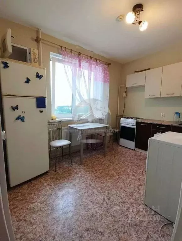 1-к кв. Новгородская область, Великий Новгород Большая Московская ул., ... - Фото 2