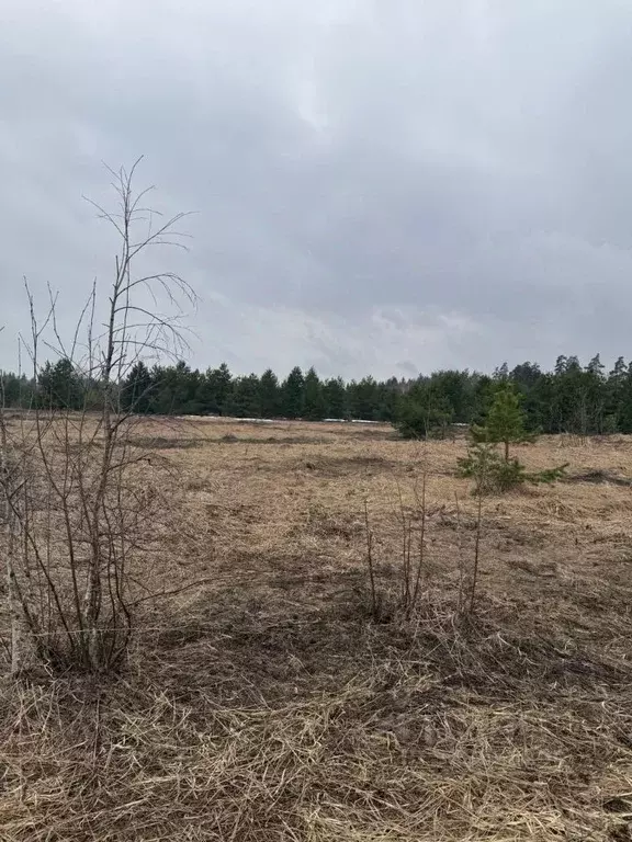 Участок в Московская область, Орехово-Зуевский городской округ, д. ... - Фото 2