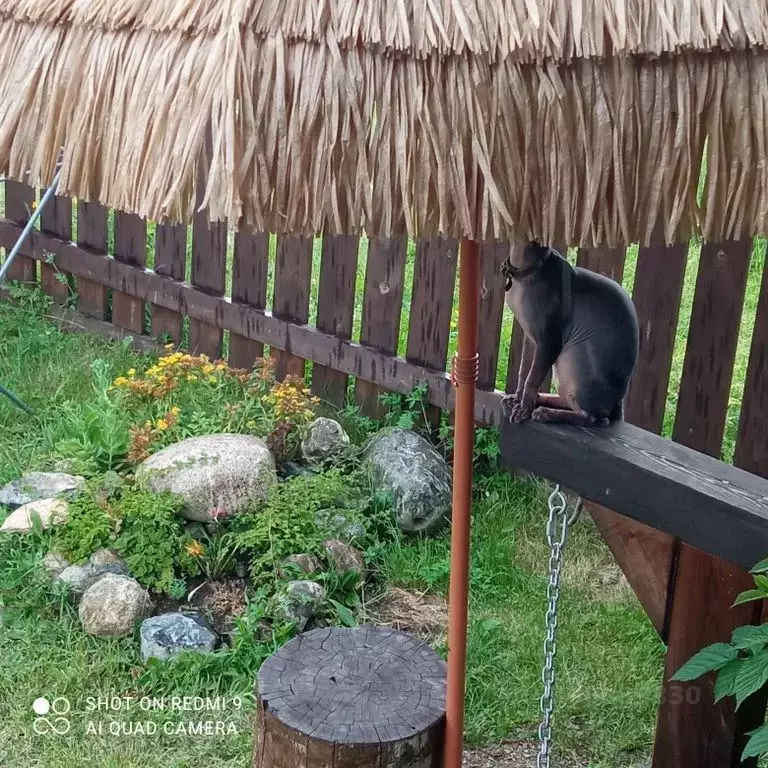 Дом в Алтай, Чемальский район, с. Чемал Курортная ул., 34 (35 м) - Фото 2