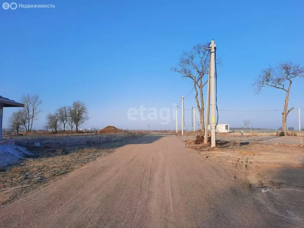 Участок в Калининградская область, Гурьевский муниципальный округ, ... - Фото 1