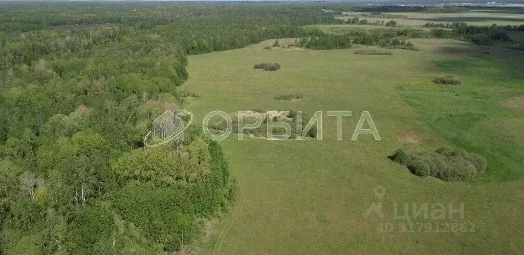 Участок в Тюменская область, Тюменский район, д. Елань  (11.1 сот.) - Фото 0