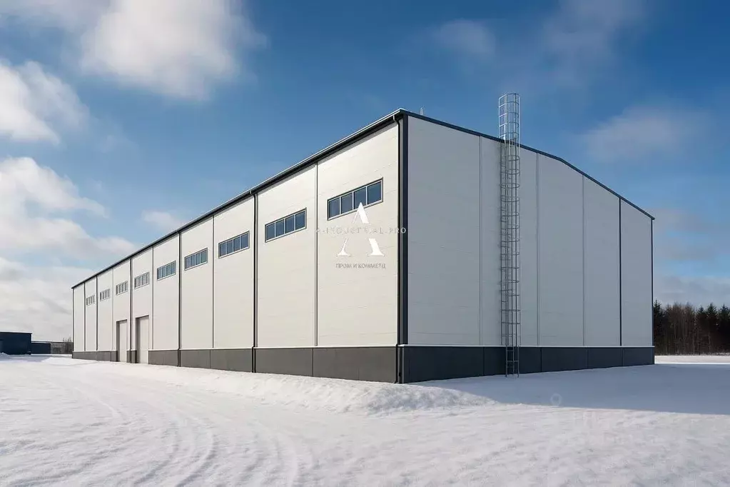 Склад в Московская область, Балашиха городской округ, д. Черное ул. ... - Фото 1