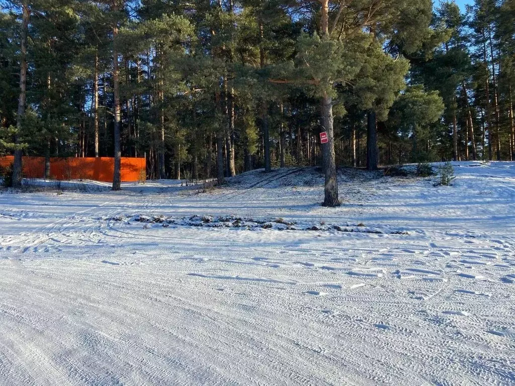 Участок в Владимирская область, Судогодский район, Лавровское ... - Фото 1