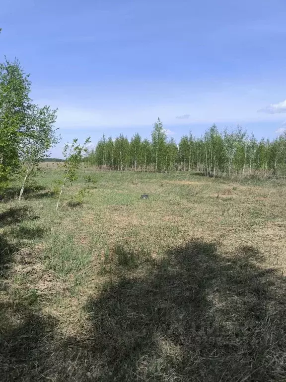 Участок в Омская область, Омский район муниципальный округ, с. ... - Фото 1