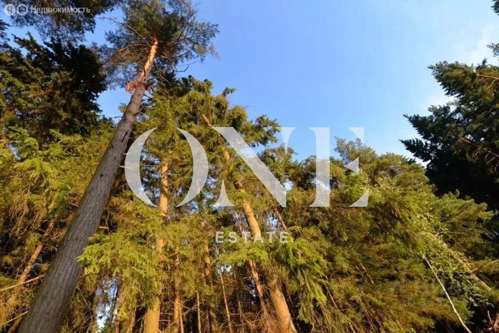 Участок в Чесноково, КП Ренессанс парк (109 м) - Фото 2