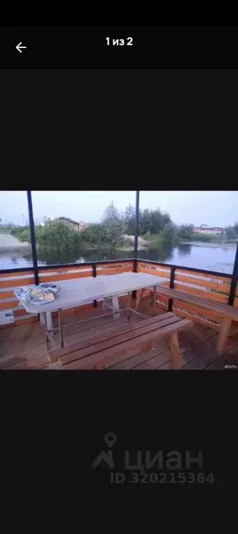 Участок в Новосибирская область, Коченевский район, Озерное ДНТ ул. ... - Фото 1