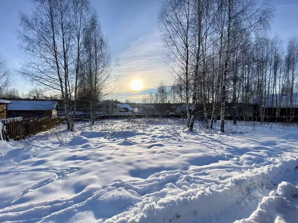 Участок в Московская область, Истра муниципальный округ, д. Шишаиха  ... - Фото 2