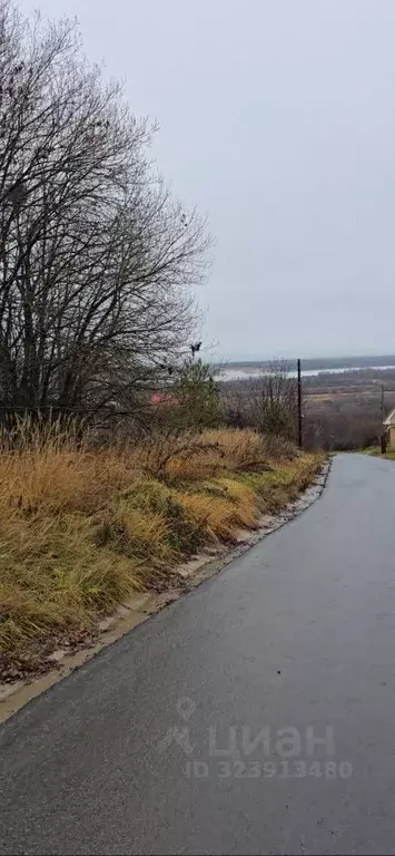 Участок в Нижегородская область, Нижний Новгород с. Кадницы,  (15.24 ... - Фото 1