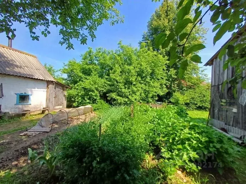 Дом в Нижегородская область, с. Дивеево ул. Лесная (64 м) - Фото 2