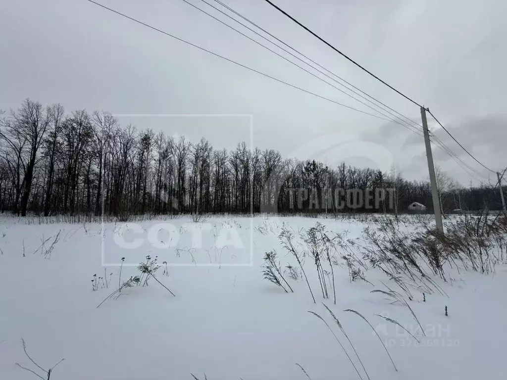 Участок в Воронежская область, Семилукский район, с. Девица, Поречье ... - Фото 1