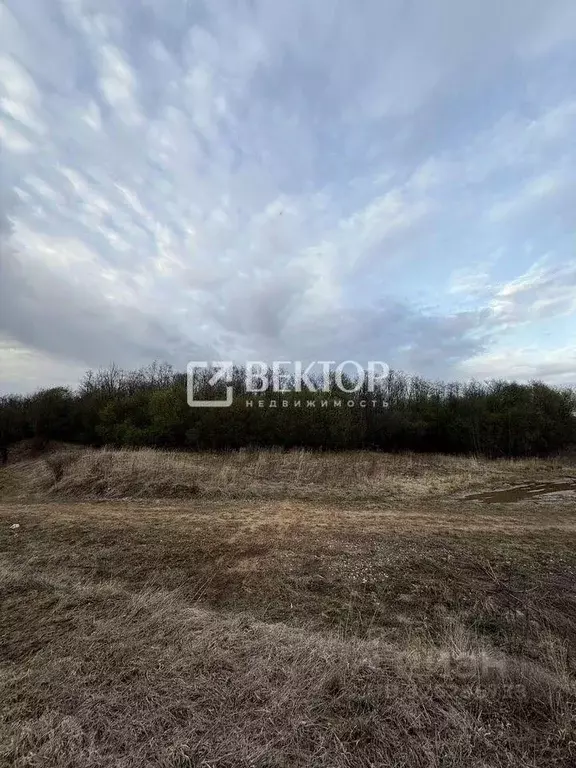 Участок в Ивановская область, Иваново Революционная ул. (8.0 сот.) - Фото 2