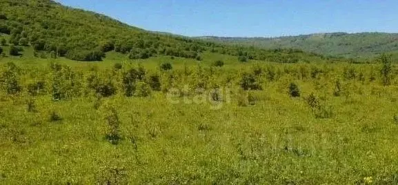 Участок в Адыгея, Майкопский район, Даховская ст-ца Советская ул. ... - Фото 1