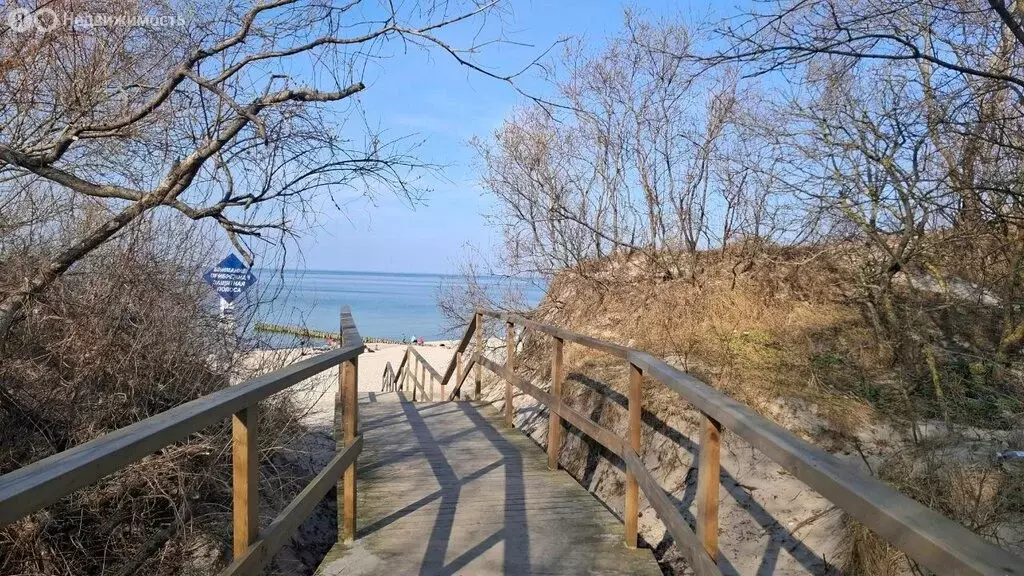 1-комнатная квартира: Калининградская область, Зеленоградск (34.48 м) - Фото 2