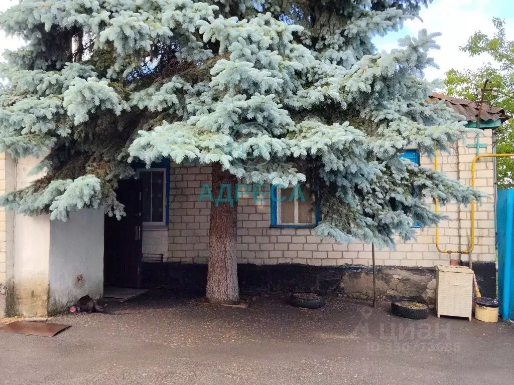 Дом в Белгородская область, Поселок Чернянка городское поселение, ... - Фото 2