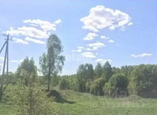 Участок в Калужская область, Тарусский муниципальный округ, Петрищево ... - Фото 2