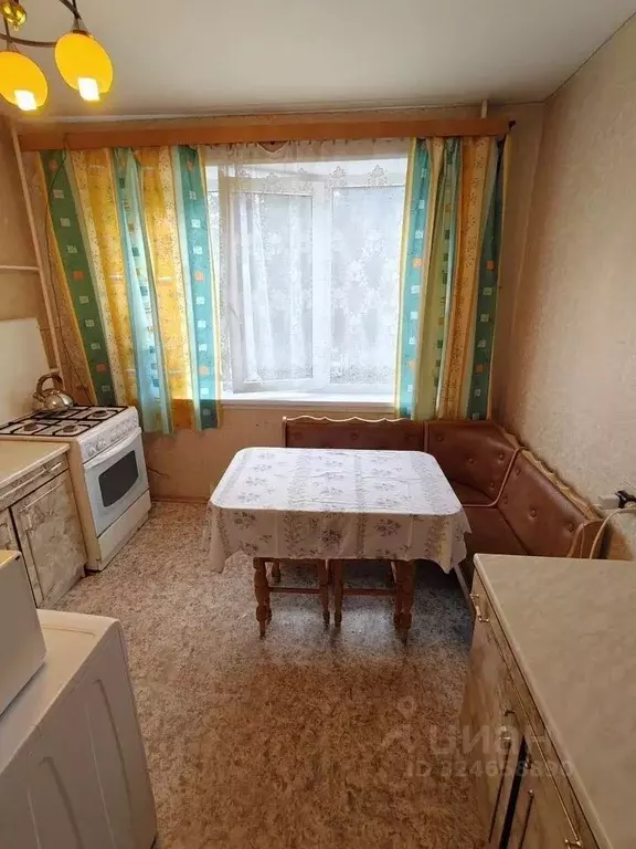 3-к кв. Ленинградская область, Кингисепп Восточная ул., 6 (73.0 м) - Фото 1