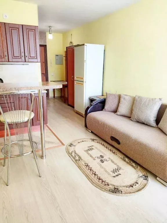 Студия Свердловская область, Екатеринбург ул. Рощинская, 27 (30.0 м) - Фото 2