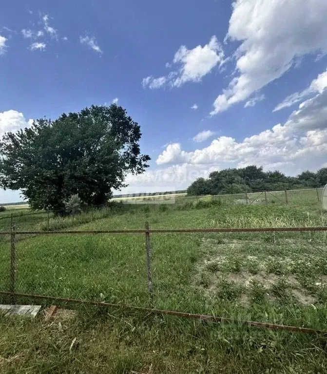 Участок в Марий Эл, Медведевский район, Шойбулакское с/пос, с. ... - Фото 2