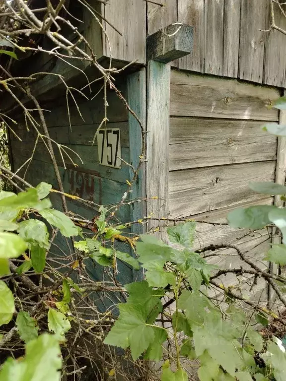 Участок в Нижегородская область, Нижний Новгород 40 лет Победы СНТ,  ... - Фото 2