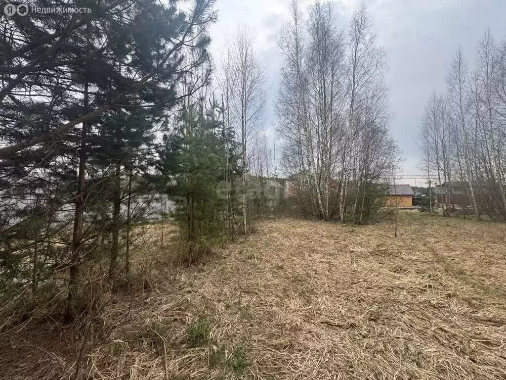 Участок в Московская область, Раменский муниципальный округ, ДНП ... - Фото 1