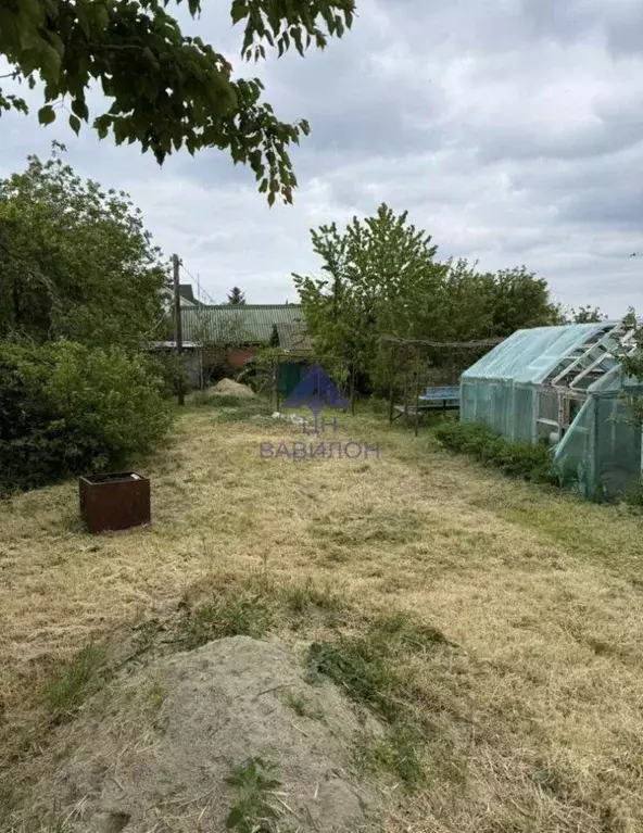 Дом в Ростовская область, Цимлянск Набережная ул. (20 м) - Фото 2