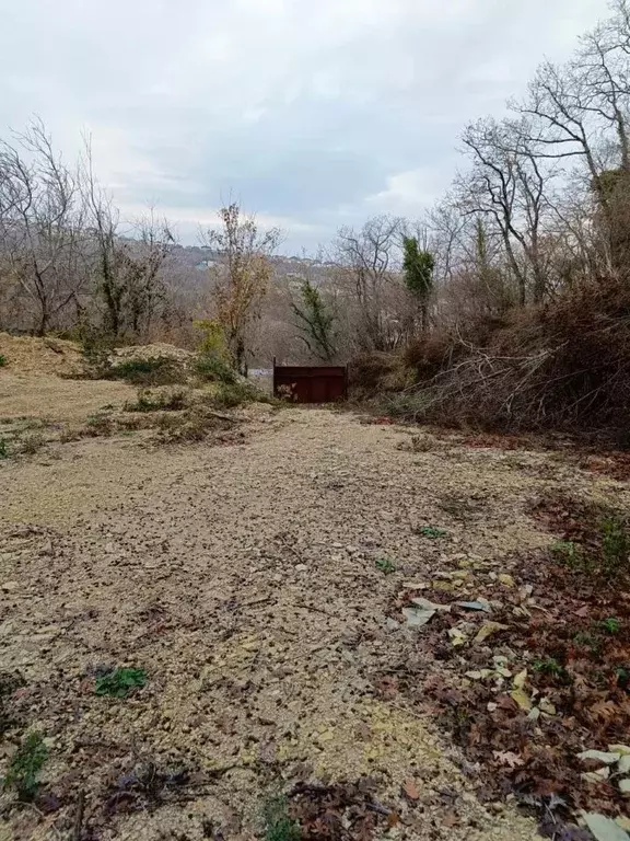 Участок в Краснодарский край, Новороссийск Цемдолина тер., ул. 8-я ... - Фото 2