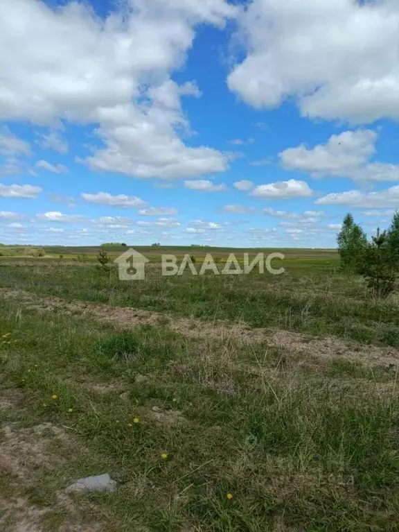 Участок в Владимирская область, Ковровский район, Малыгинское с/пос, ... - Фото 0