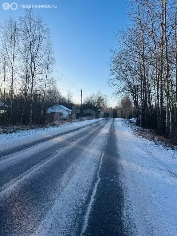 Участок в Всеволожский район, Рахьинское городское поселение, деревня ... - Фото 2