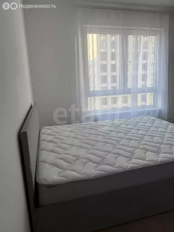 Квартира-студия: Санкт-Петербург, Лиговский проспект, 244 (23.4 м) - Фото 2