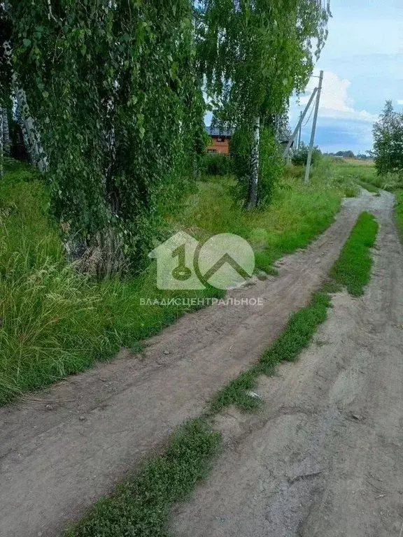 Участок в Новосибирская область, Новосибирский район, Морской ... - Фото 1