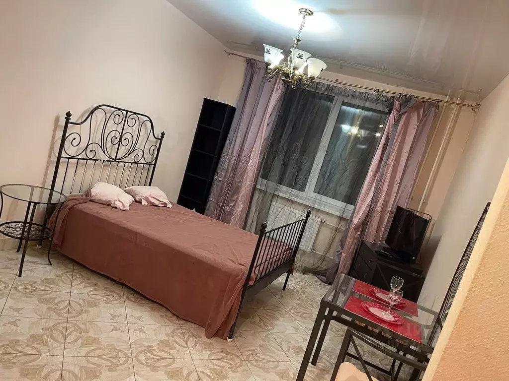 Студия Санкт-Петербург ул. Орджоникидзе, 59к2 (27.4 м) - Фото 1