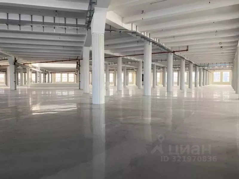 Склад в Московская область, Реутов Северный проезд, 4 (12000 м) - Фото 2