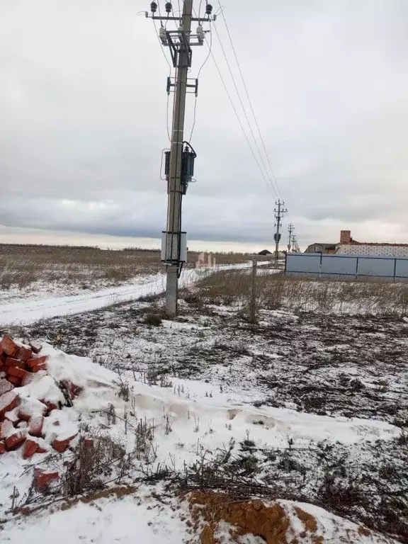 Участок в Саратовская область, Энгельсский район, Новопушкинское ... - Фото 1