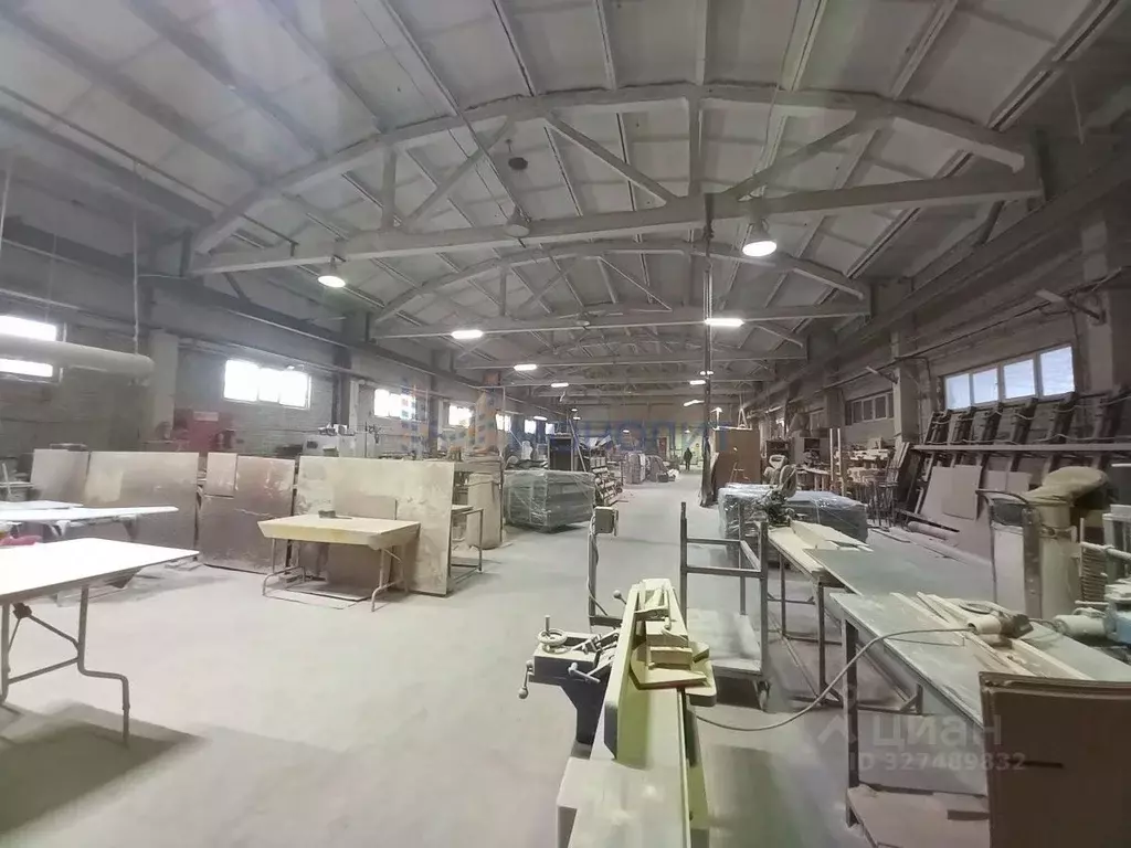 Производственное помещение в Нижегородская область, Бор ... - Фото 1