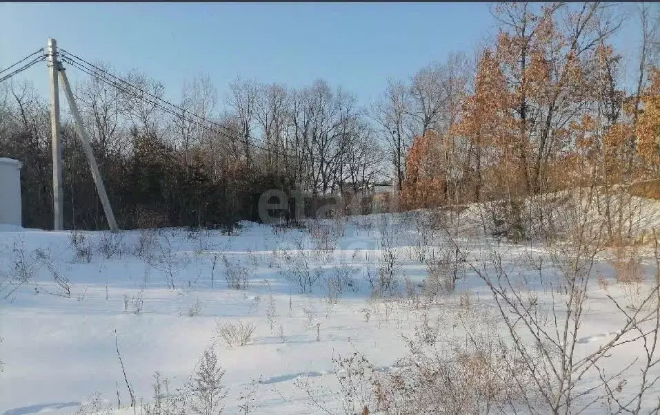 Участок в Амурская область, Благовещенск Игнатьевское ш. (9.0 сот.) - Фото 2