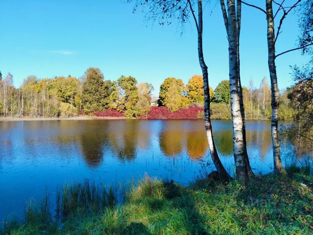 Дом в Ленинградская область, Лужский район, Ретюнское с/пос, д. ... - Фото 1