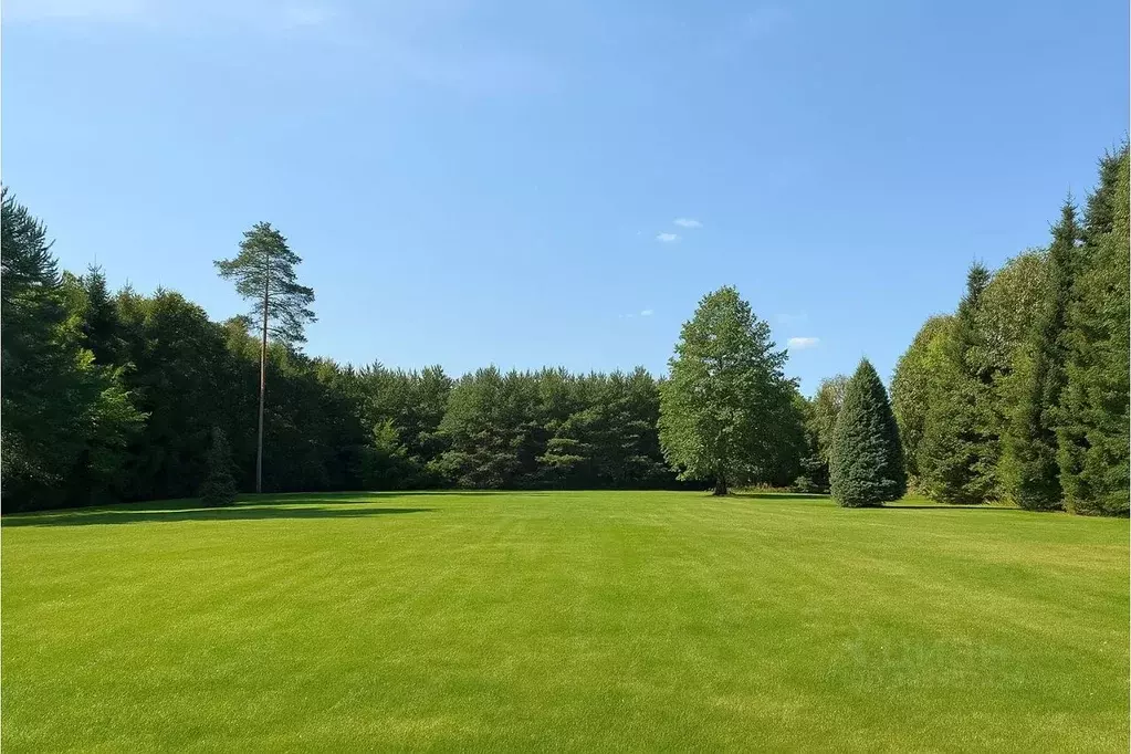 Участок в Московская область, Одинцовский городской округ, д. ... - Фото 1