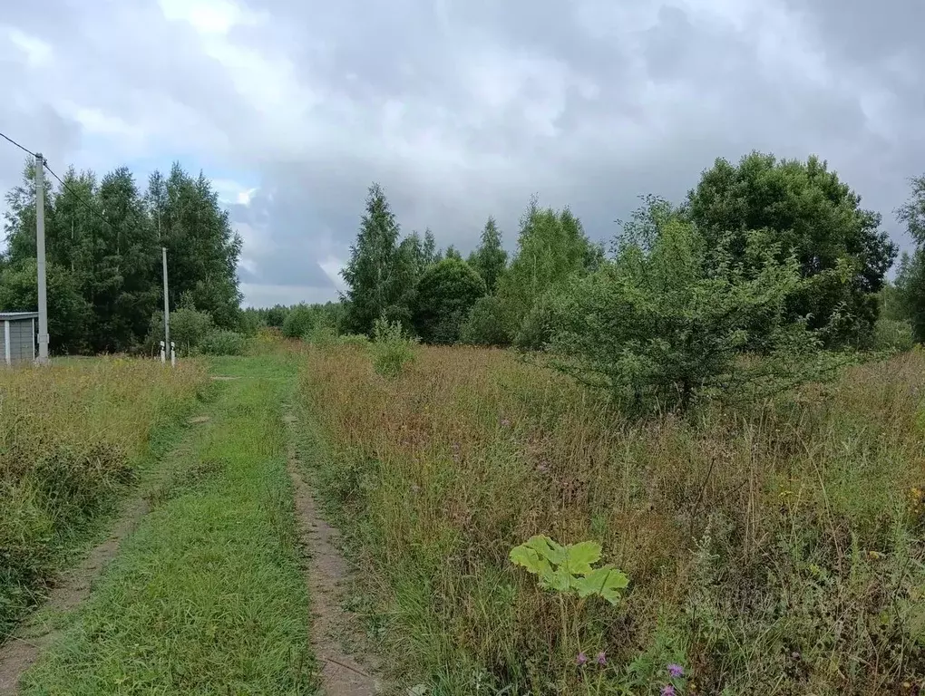 участок в владимирская область, петушинский район, пекшинское . - Фото 0