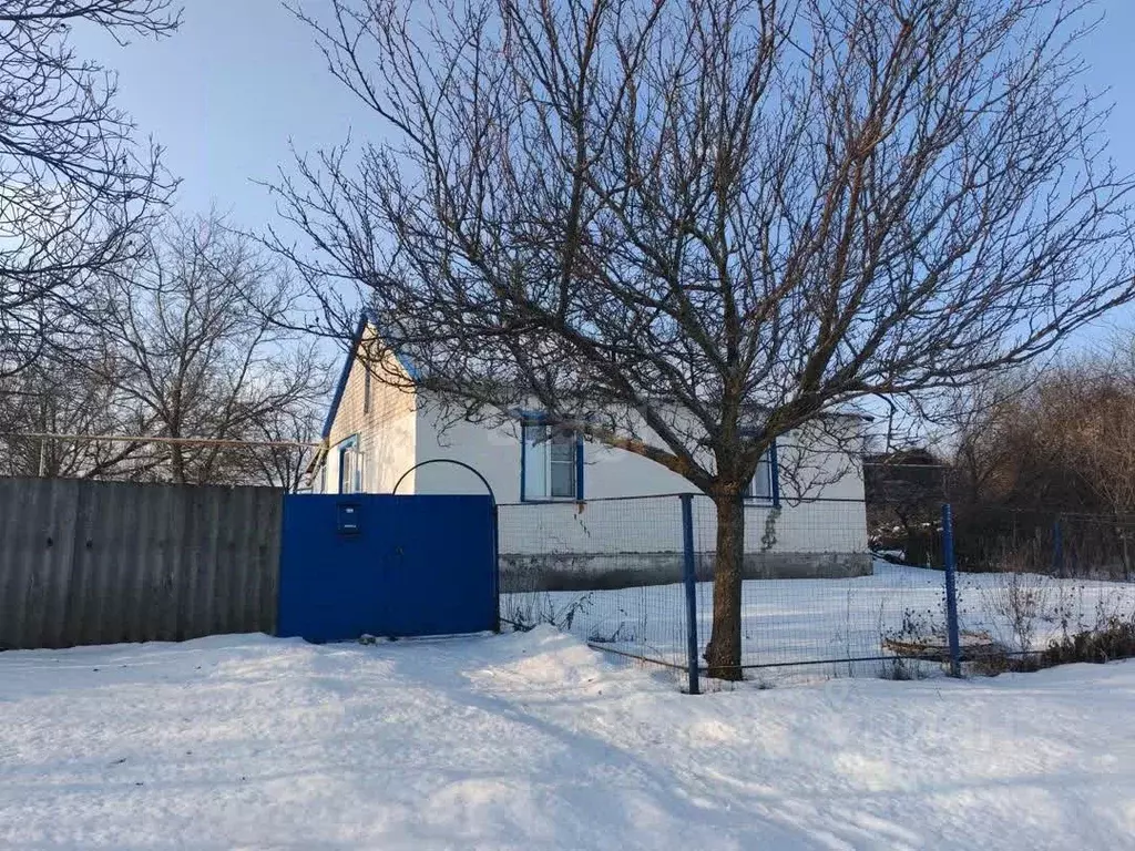 Дом в Белгородская область, Вейделевский район, Кубраковское с/пос, ... - Фото 1