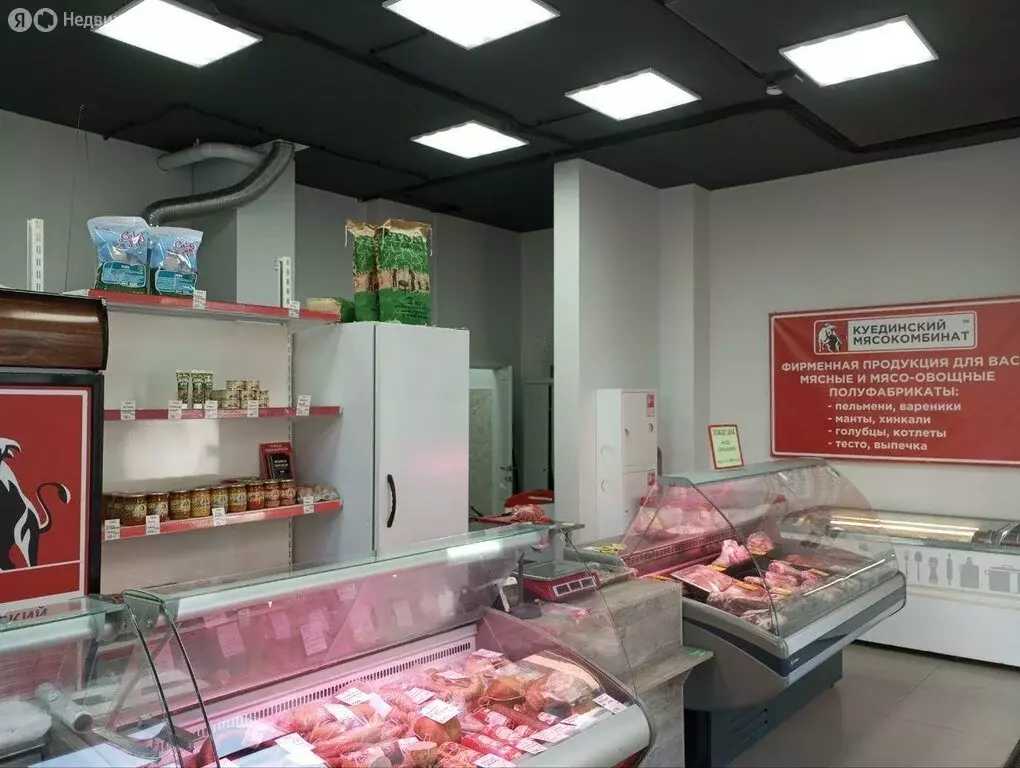 Помещение свободного назначения (61.5 м) - Фото 1