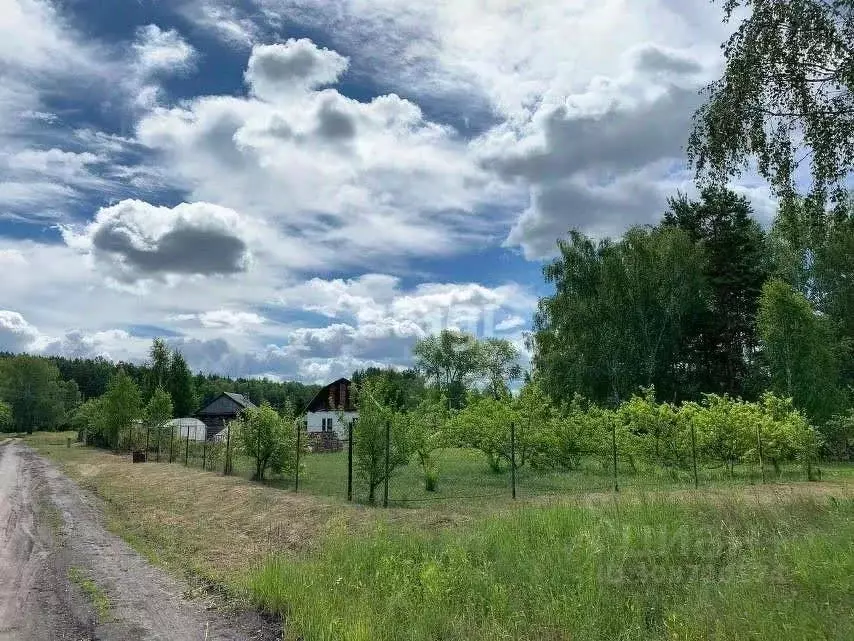 Участок в Тюменская область, Ишимский район, д. Синицына Школьная ул., ... - Фото 0