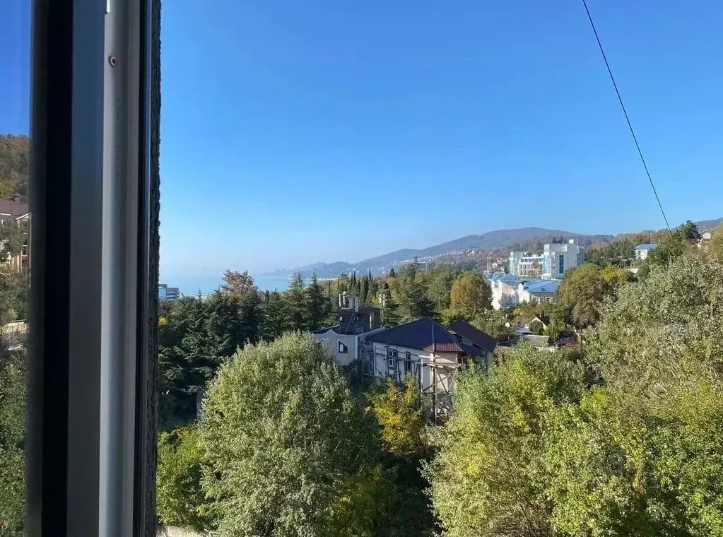 1-к кв. Краснодарский край, Сочи ул. Ленина, 298В/4 (27.4 м) - Фото 1