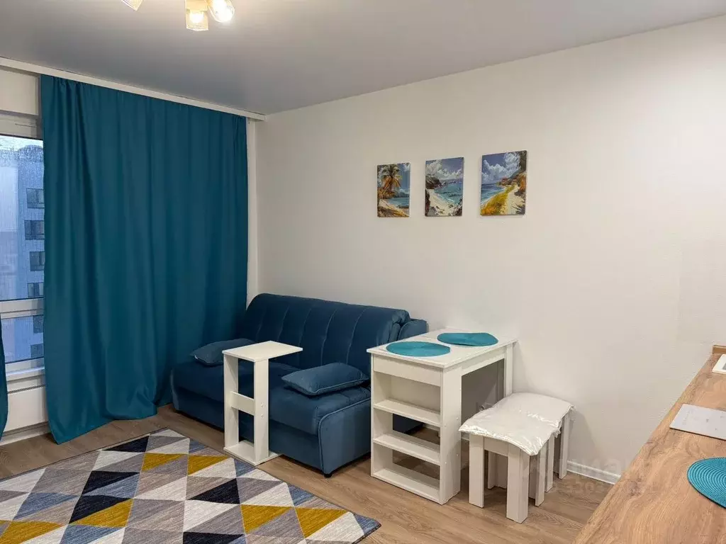 Студия Москва Муравская ул., 38Бк4 (25.0 м) - Фото 2